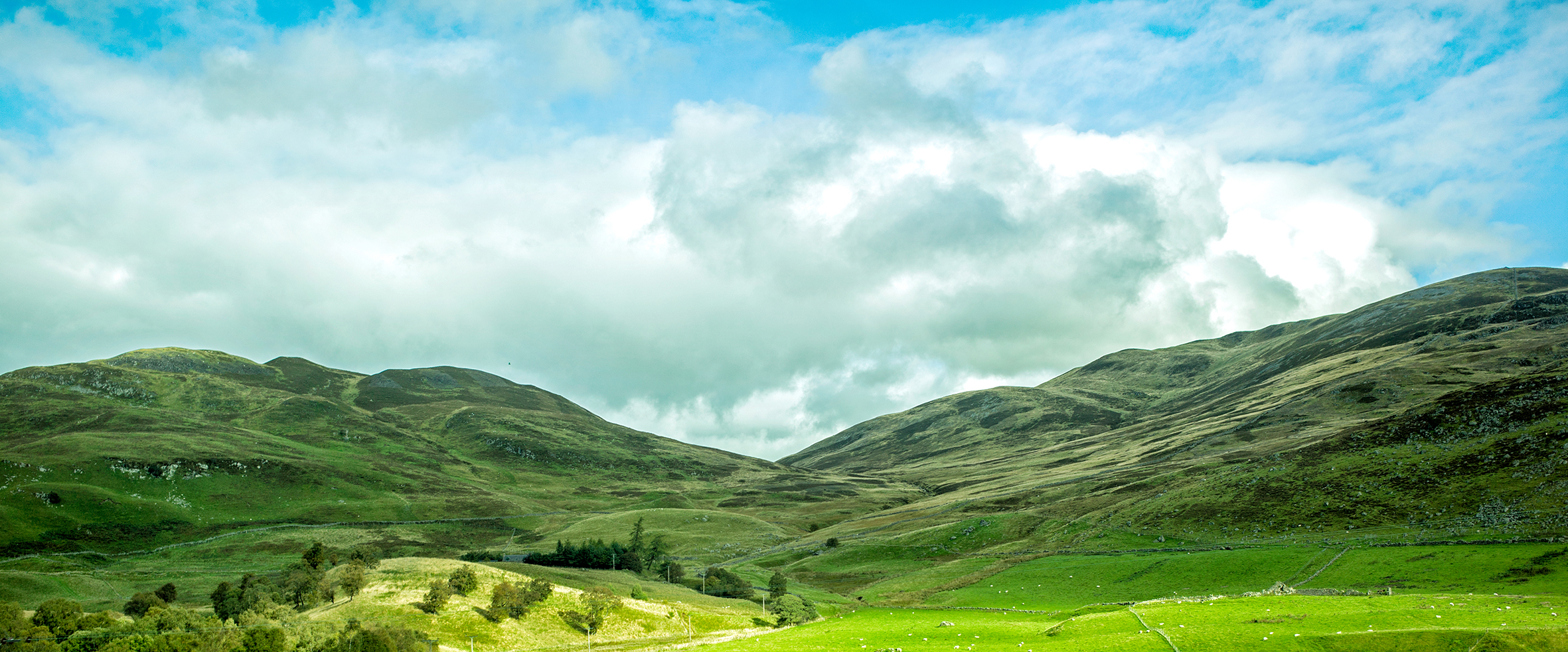 Bernard & Reinikainen